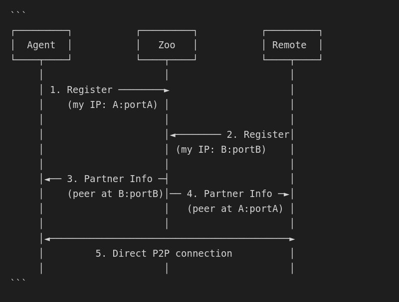 UDP Hole-Punching